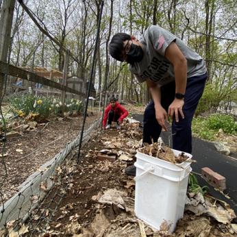 Seventh Grade Spanish Students Working In Garden at Belmont Day School
