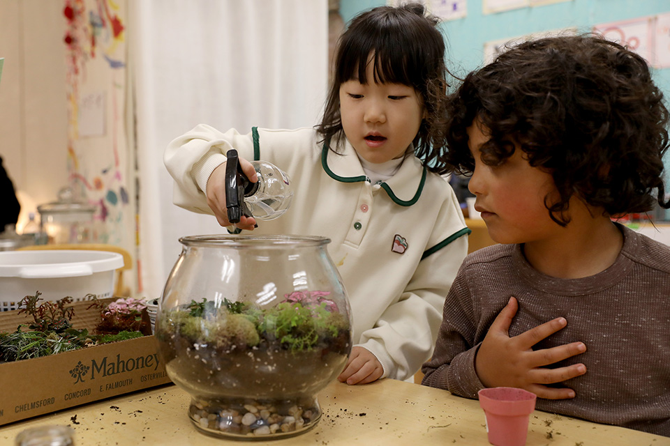 BDS PreK Terrariums 3 03.18.26Web